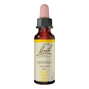 Bach Ensian - 10 ml