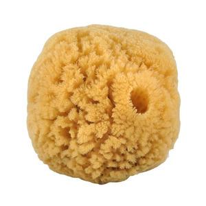 Croll og Denecke Natursvamp 10-12 cm - 1 stk.
