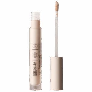 Ecooking Concealer 00 (3,5 g)