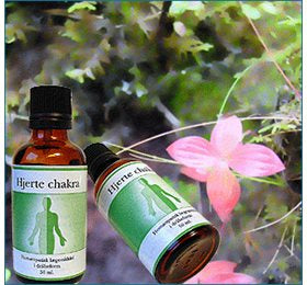Holistica-Medica Hjerte chakra • 50ml.