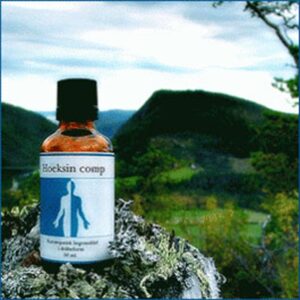 Holistica Medica Hoeksin comp. (50 ml)