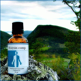Holistica Medica Hosysin comp. (50 ml)