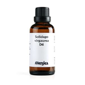 Solidago D6 (50 ml)