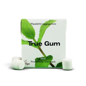 True Gum Mint - 21 g